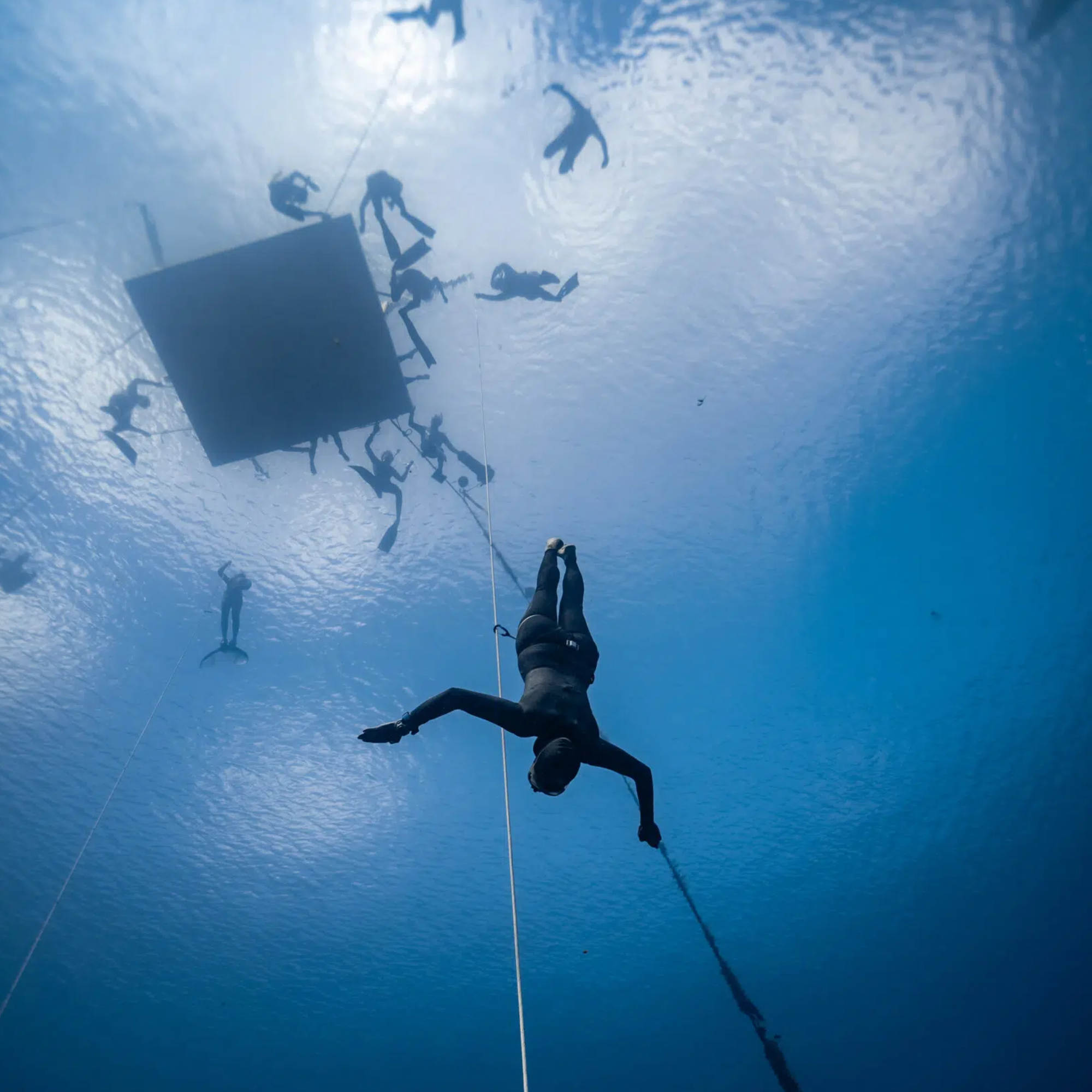 Die neuen SURFEARS 4.0 schützen deine Ohren bei allen Wassersport aktivitäten und jetzt neu auch beim Tauchen vor Wasser, Wind und Schmutz. Hergestellt aus recycelten Materialien, inklusive verschiedener Aufsätze und praktischer Silikonhülle mit Magnetverschluss – ideal für maximale Performance im Wasser.