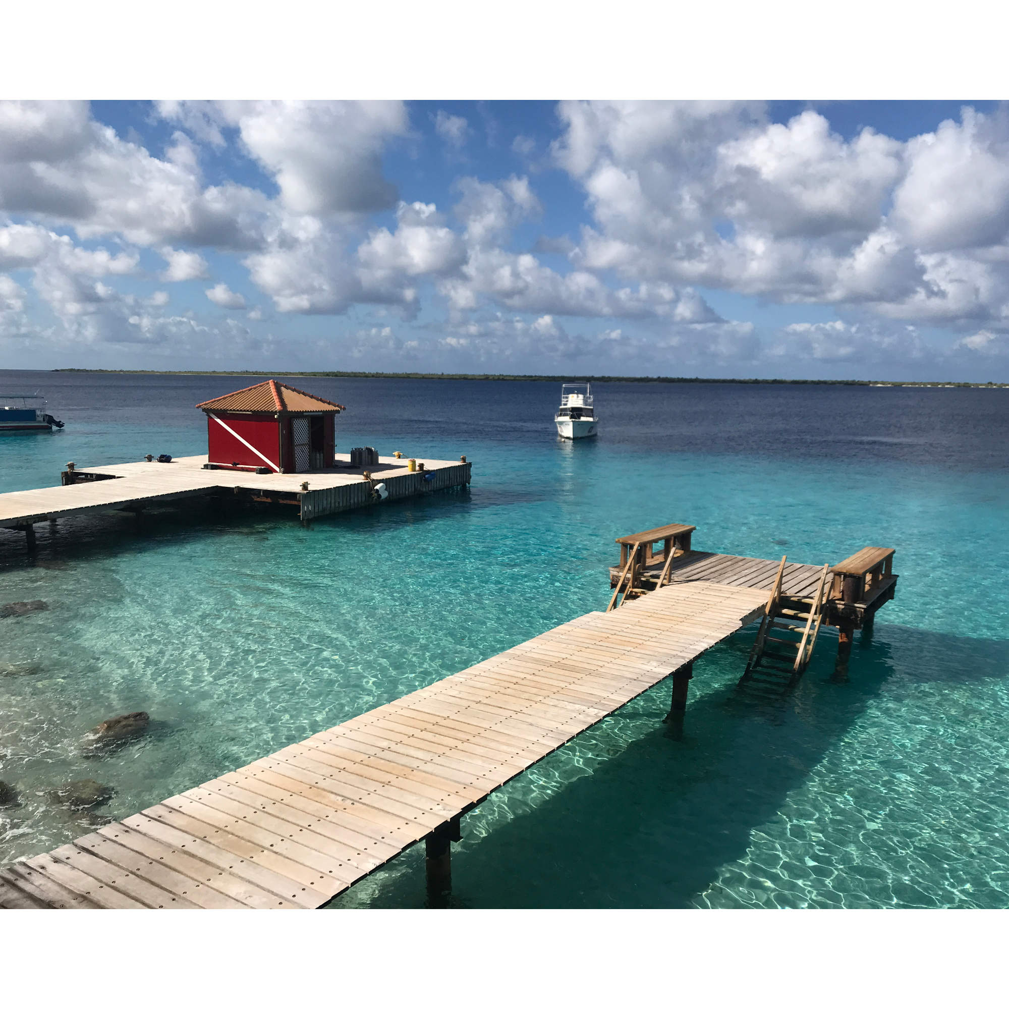 Tauchreise - Bonaire / Karibik im Dezember 2022